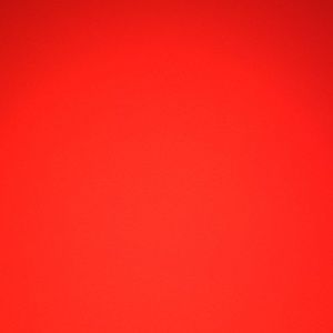 Meet your Posher, Liz